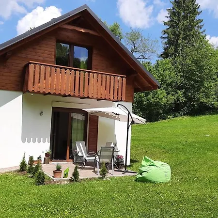 Partecznik 비스와