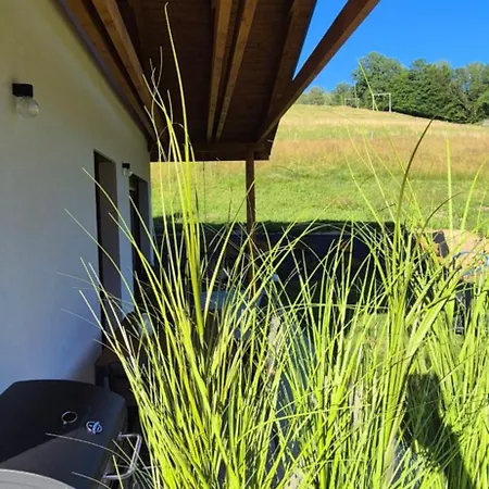 Partecznik Chalet Wisla